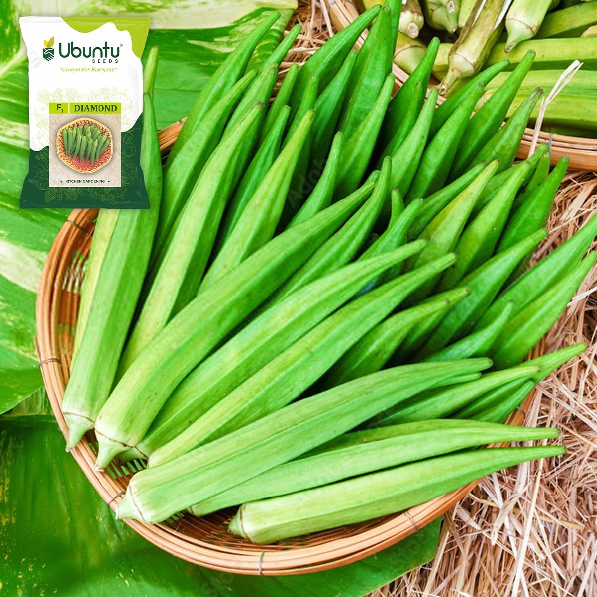 Ubuntu Seeds F1 Diamond Hybrid Okra (Bhindi) Seeds for Kitchen Gardening | High Yield Green Tender Lady Finger Variety