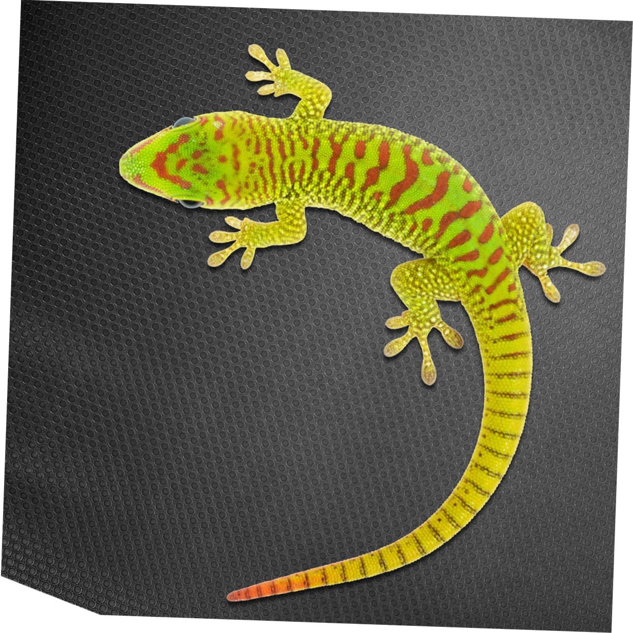 Reptile Carpet for Snake Tortoise Bearded Dragon Snake Bedding Mat Reusable Lightweight Eva Material Terrarium Liner