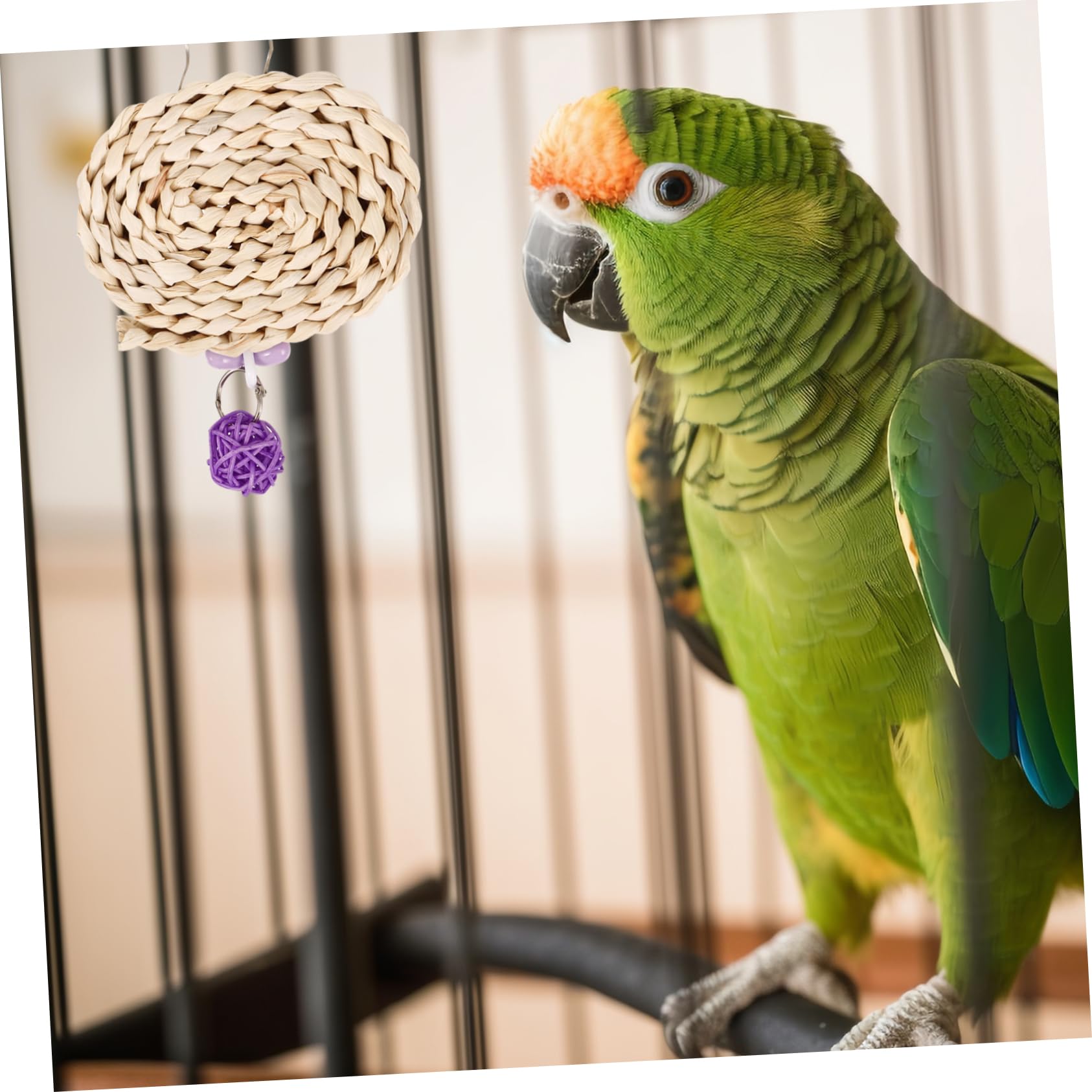 Sosoport 5stücke Papageien Kauspielzeug Hängendes Vogelspielzeug Für Wellensittiche Und Papageien Für Zähneknirschen Und Training Leichtes Material Aus Maisblatt Und Einfache Montage
