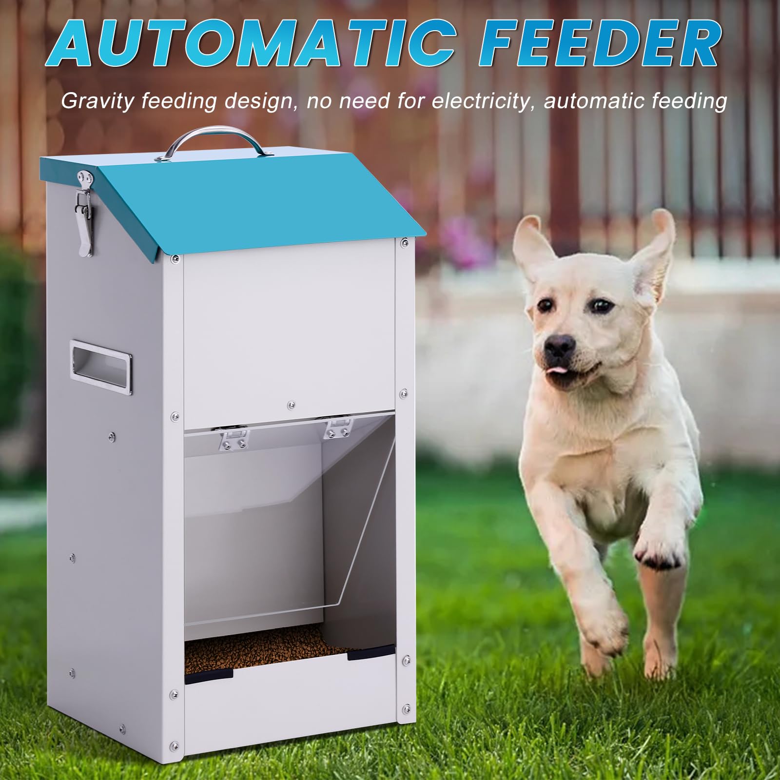 Futterautomat para Hunde y Katzen Automático y Outdoor