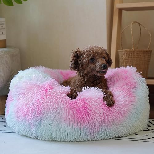 Miniatura 2 de Cama para perros con forma de dona arcoíris pequeña, lavable, relajante para perros pequeños, camas esponjosas de 20 pulgadas, antiansiedad,