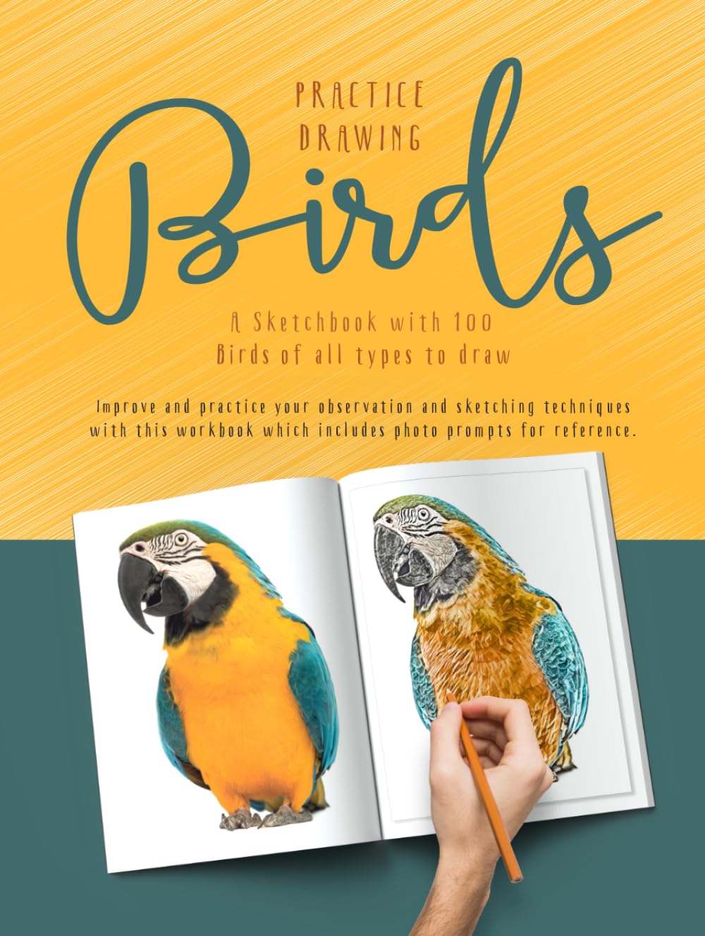 Cahier d'exercices dessin oiseaux pour perfectionner son trait