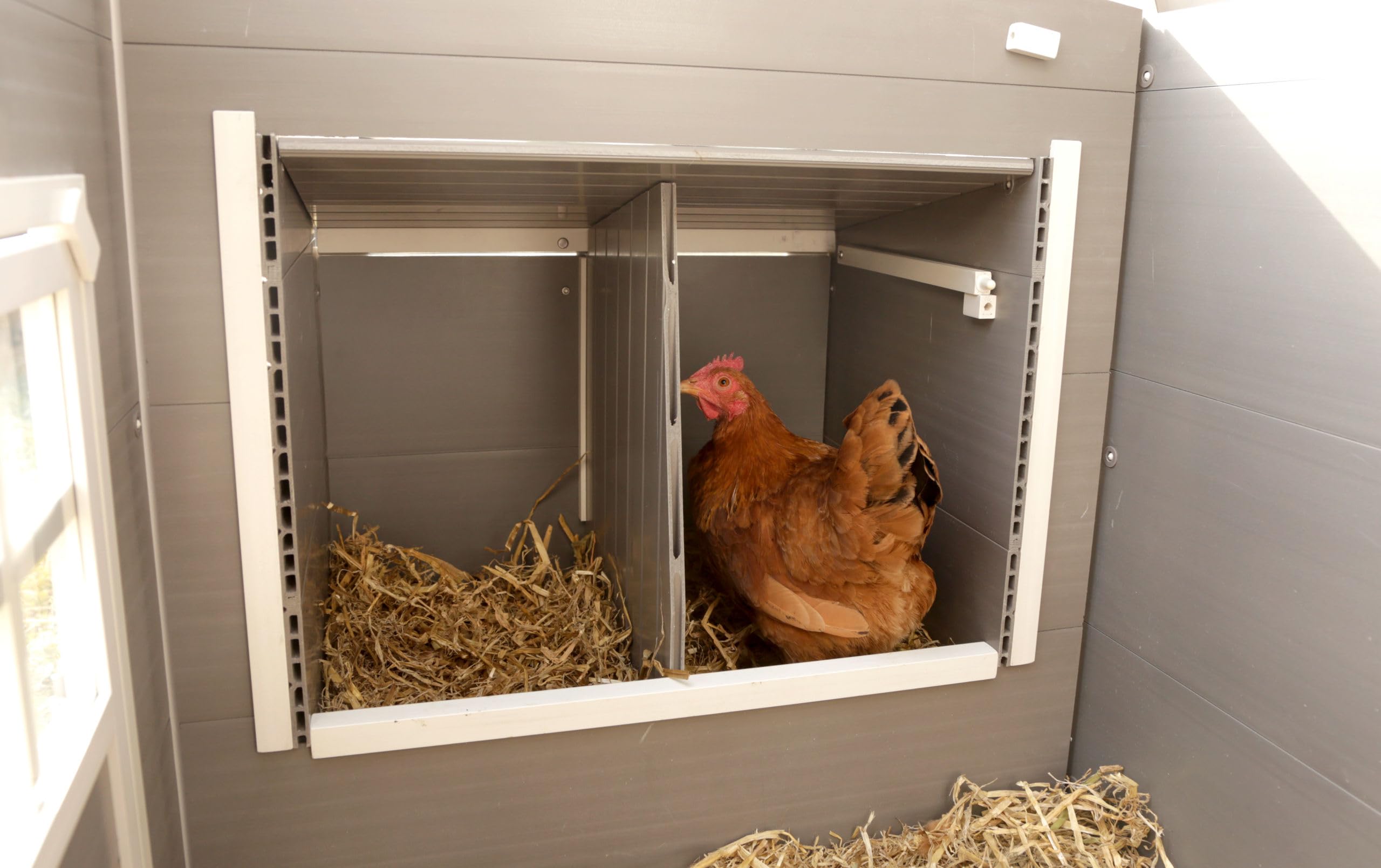 Kerbl Hobbyfarming Eco Establo de plástico para gallinas, conejera para Pollos, 137x73x83cm, Resistente a la Intemperie, Material sostenible, fácil de Limpiar, Duradera