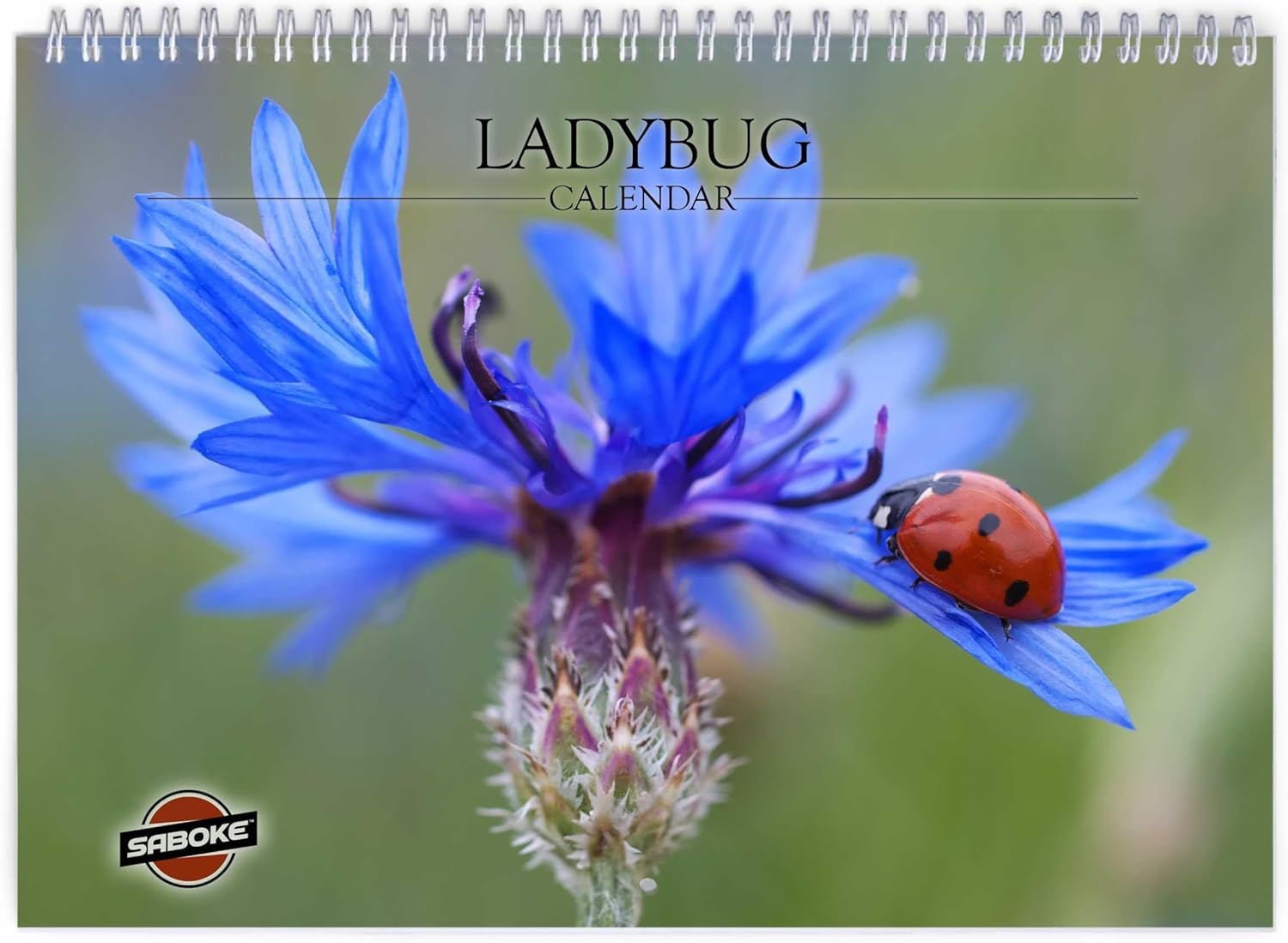 Ladybug 2026 Wall Calendar