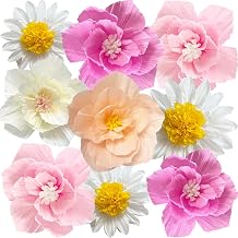 ANSOMO Pink Daisy Tissue Paper Pom Poms Party Decorations Flowers | Wall Hanging, 1st Birthday, Bridal Baby Shower Wedding, Classroom Decor Girls