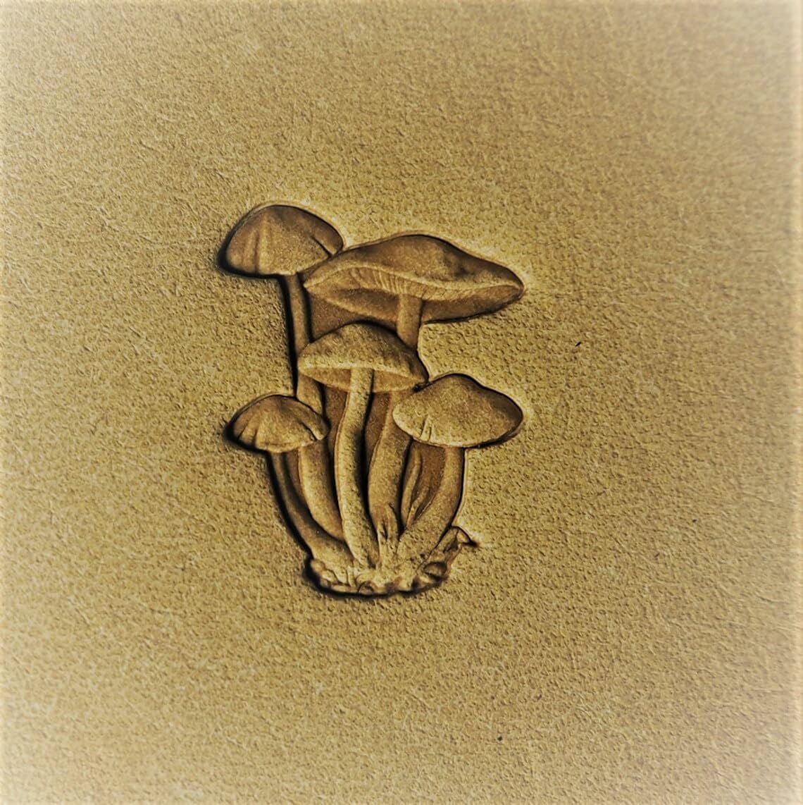 DandS ltd Leather Stamp Tool, Mushroom,Professional Steel Craft Tool for Leatherworking, Embossing, Carving & Stamping Leather Projects, Belts Wallets & DIY Projects Compatible with Mallet #596
