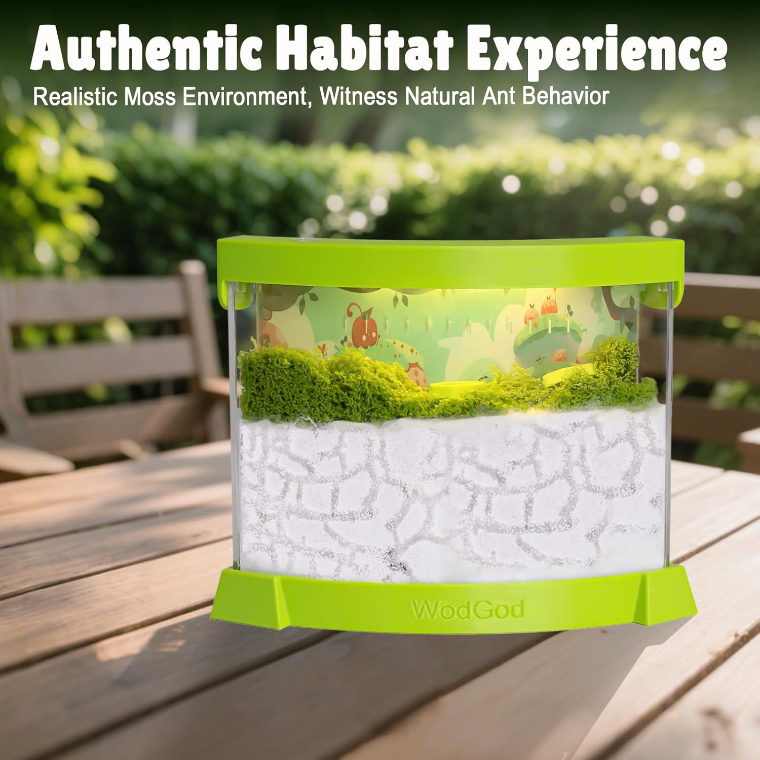 Illuminated Ant Farm Habitat with Magnifier - Educational Ecosystem for Ant Colony Observation, Home & Classroom Science Study (Live Ants Not Included)
