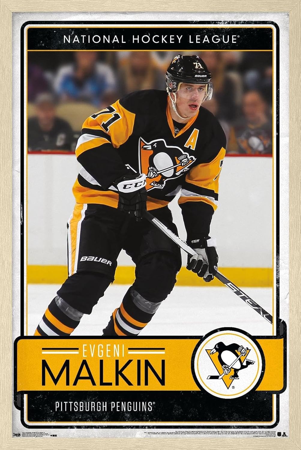 Trends International NHL Pittsburgh Penguins - Evgeni Malkin 16 Wall Poster, 22.375" x 34", Black Framed Version