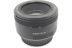 Canon EF 50mm f/1.8 STM Lens: Capture Striking Images with Clarity and Precision