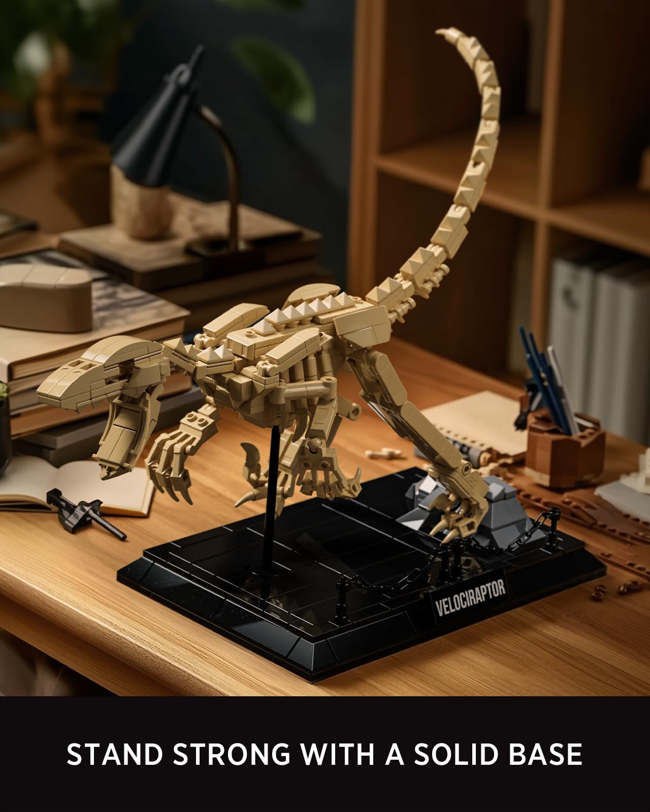 Nifeliz Maquette Fossile Velociraptor, Kit Construction Squelette Dinosaure avec Support 498 pièces