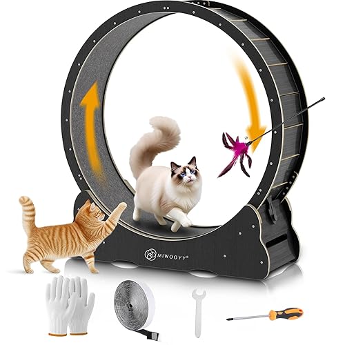 Large Cat Exercise Wheel