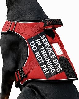 Service Dog Vest for Medium Dogs, Service Dog in Training Harness with Patches, Full