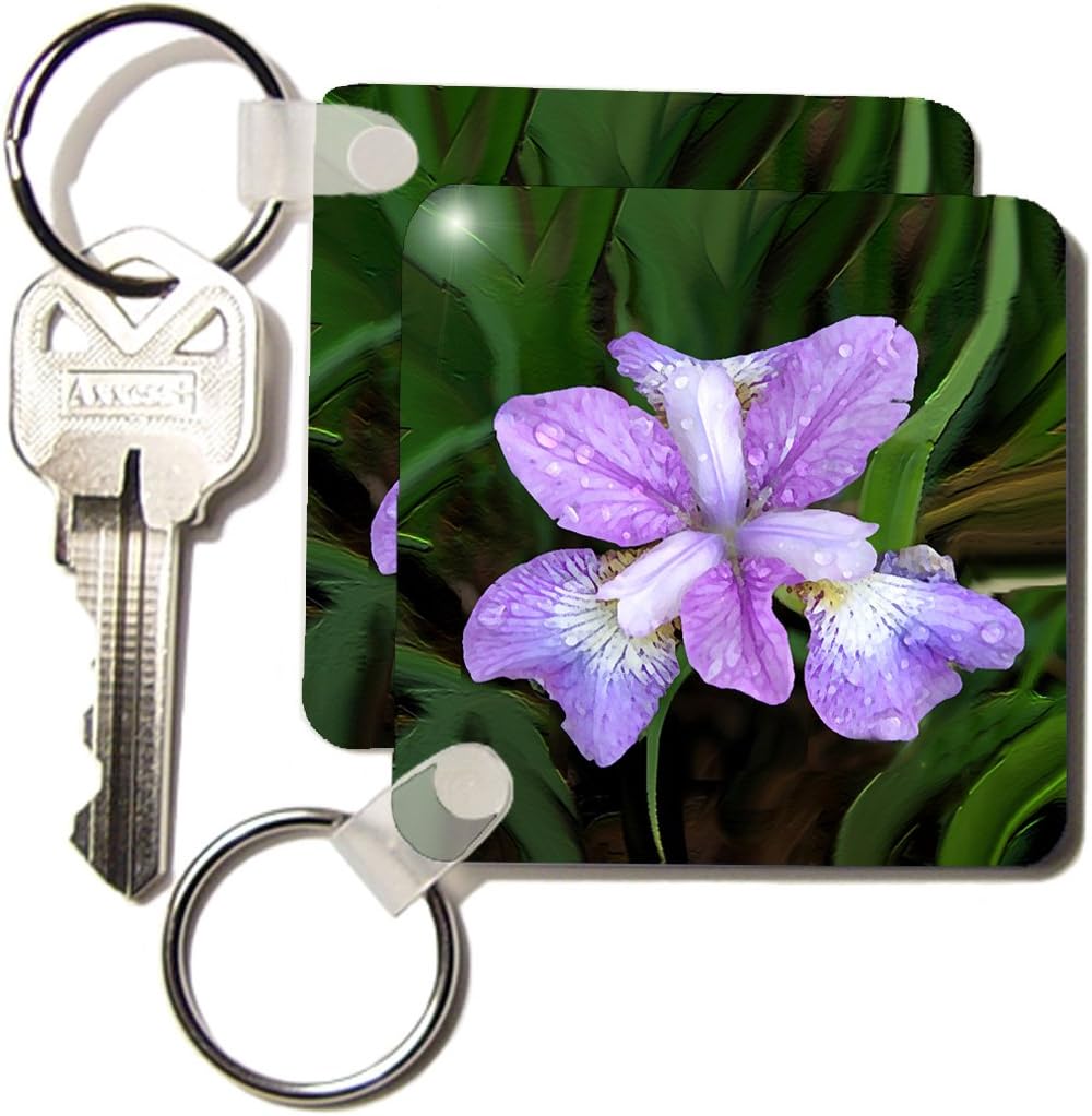 3dRose Purple Iris - Key Chains, 2.25 x 4.5 inches, set of 2 (kc_4123_1)