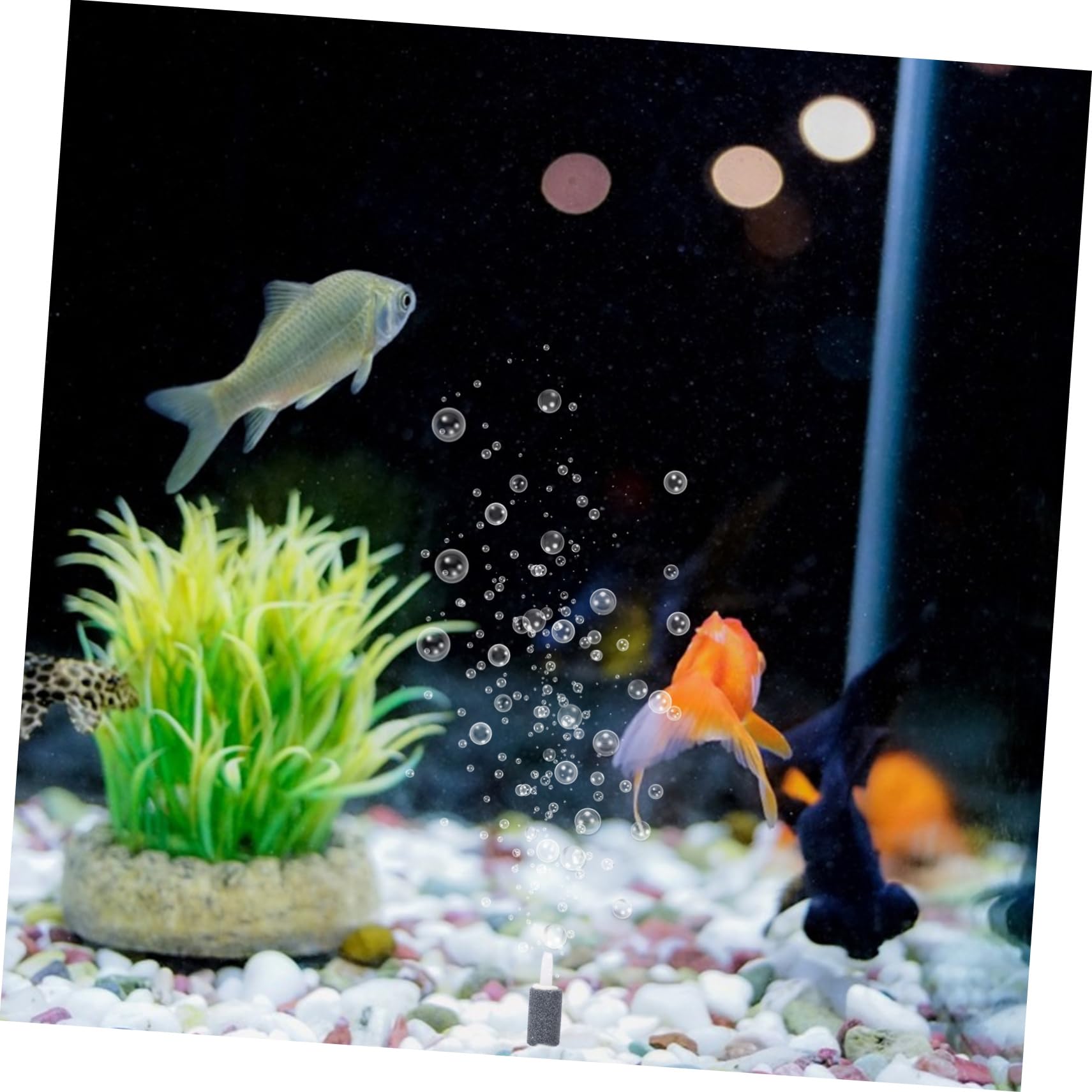 KESYOO 50pcs Air Stone Rocks Aquarium Small for with Bubble Tank Tank Decorations Tank Air Pumps Tank Tank Bubble Stone Daily Use Bubble Stone Abs