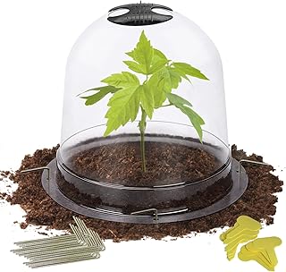 JTGONNI 10 Pack Garden Cloche Clear Plant Covers,8" D X 7" H Humidity Dome for Seed Starting, Greenhouse Plastic Dome,Plan...