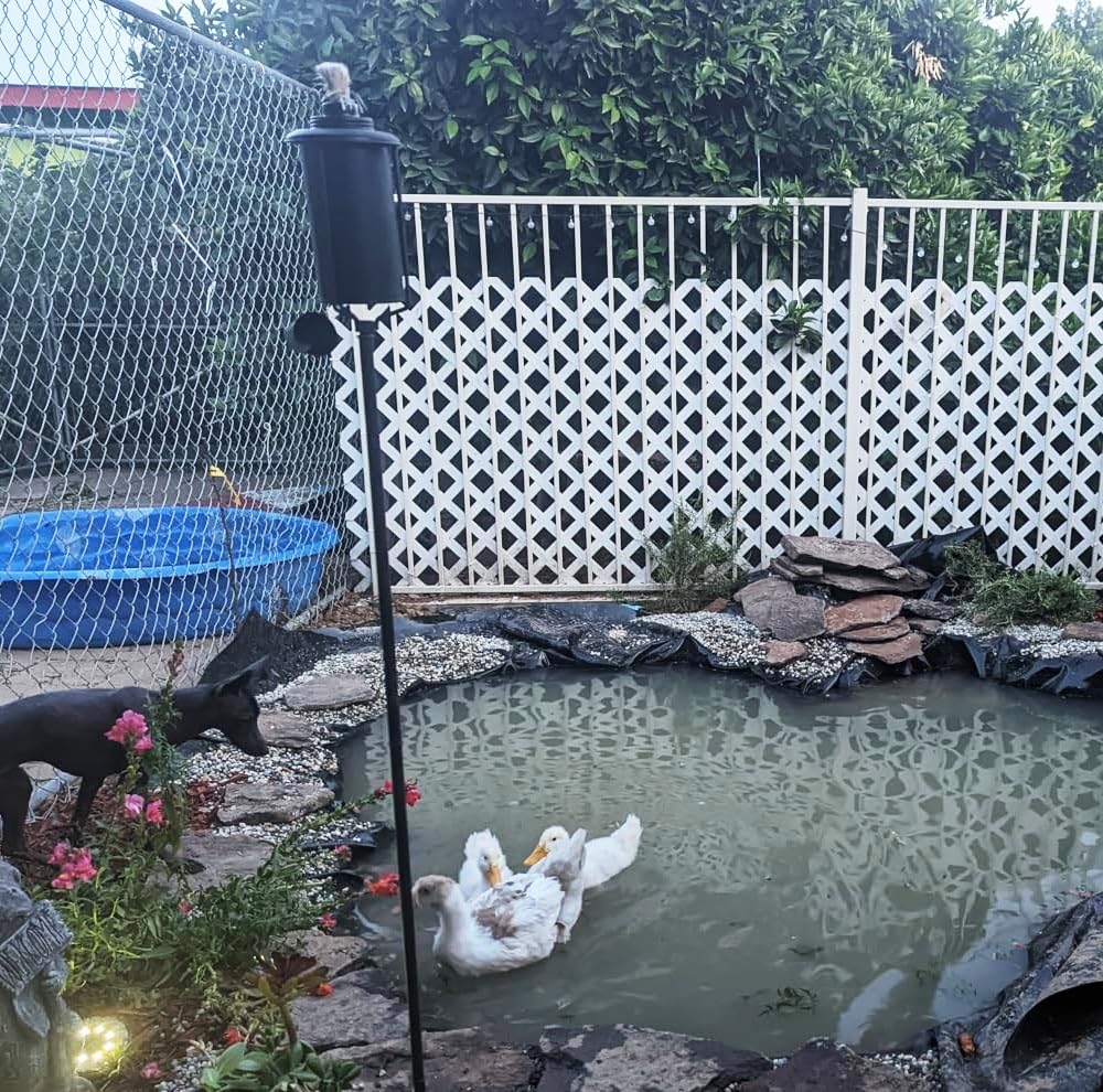 Rivestimento per Laghetto Flessibile Telo per Laghetto da Giardino, 1x1 2x2 3x3 4x5 6x8.0m Fodera Laghetto Koi Pieghevole per Fontane Paesaggistica Ninfee Pellicola(5x9.0m (16.4x29.5ft))