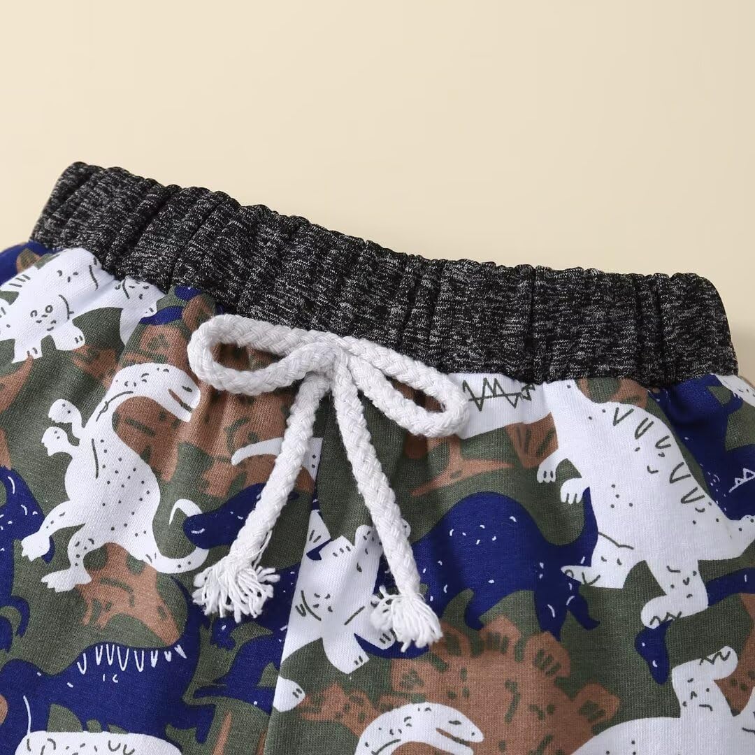 Toddler Baby Boy Clothes Fall Winter Outfits Long Sleeve Camouflage Dinosaur Hoodie Sweatshirt Tops Pants Set - Image 7