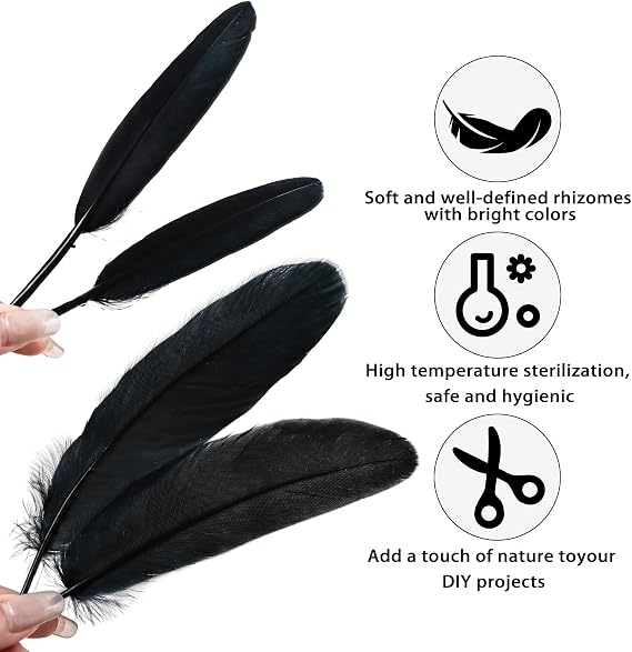 iHUFeather 270pcs Black Goose Feathers for Crafts 2 Styles 4-7 inch Bulk Natural Feathers for DIY Cosplay Wedding Party Halloween Decoration