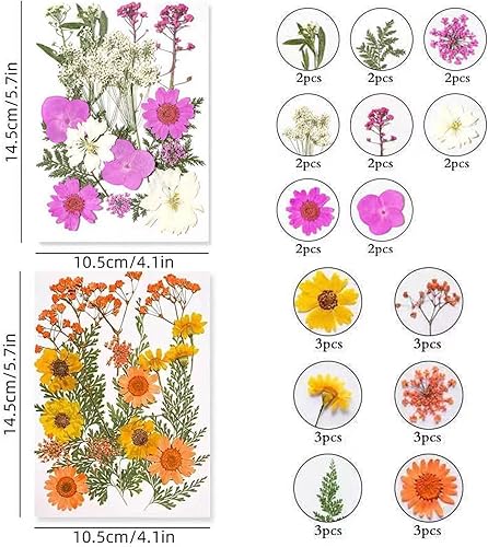 Miniatura 4 de Pressed Flowers, Dried Pressed Flower for Resin Mold Real Pressed Flowers Dry Leaves Bulk Natural Herbs, Herbs kit for Scrapbooking Supplies Card