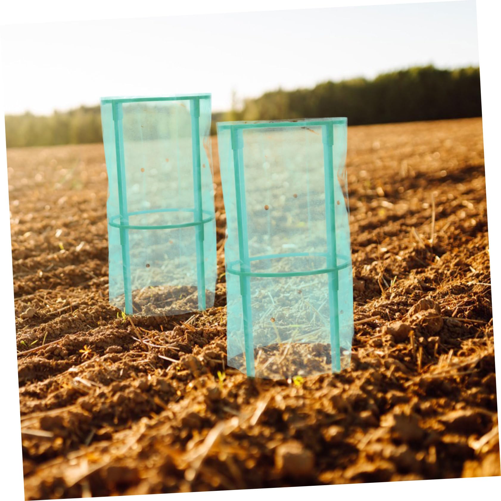4 Set Proteggere Le Piante protettori delle Piante in Gabbia Antivento Protettore vegetale Green