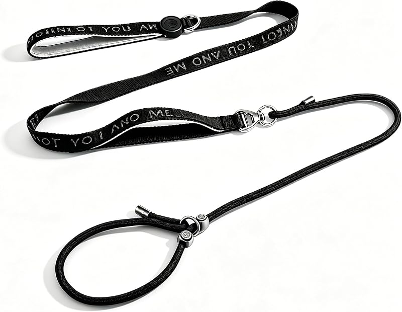Dual Handle Slip Lead Dog Leash for Better Control & Training | Heavy-Duty Nylon Rope with 360° Swivel Clip, Safety Stopper, No Collar Needed, for Daily Walks, Training & Strong Pullers