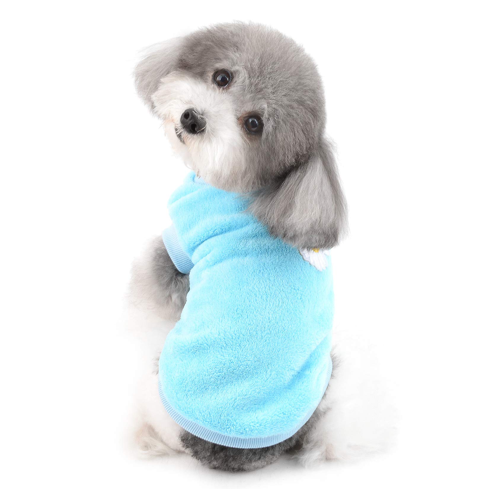 Ranphy Small Dog Clothes Warm Pet Velvet Vest Puppy Cat Soft Sweater Embroidered Flower Pattern Shirt Jacket Pullover Outfit Christmas Holiday Apparel Cute Halloween Costume Clothing Blue XXL