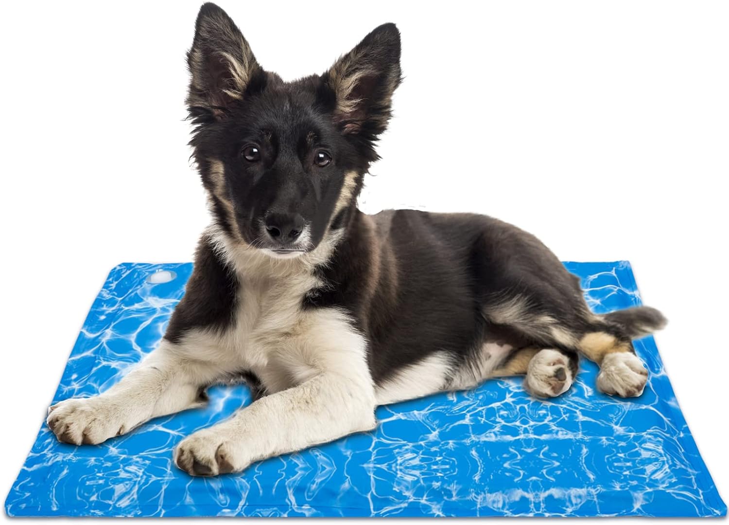 Make you perfect Pet Cooling Mat Water Injection Dog
