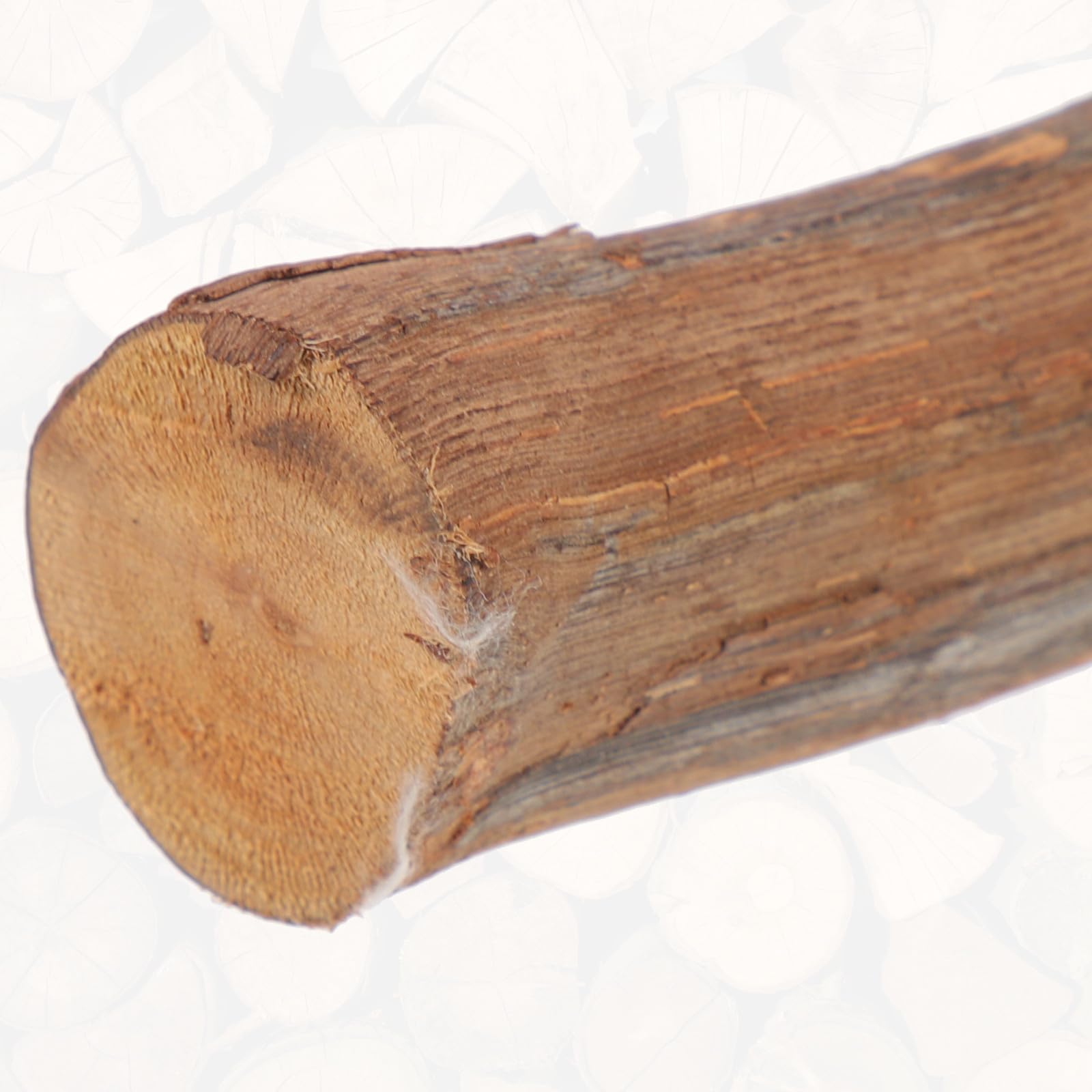 Ciieeo Rama de Madera Juguete de Escalada Seguro y Redondo para Reptiles Ventosa para Dragón Barbudo y Reptiles en Terrarios