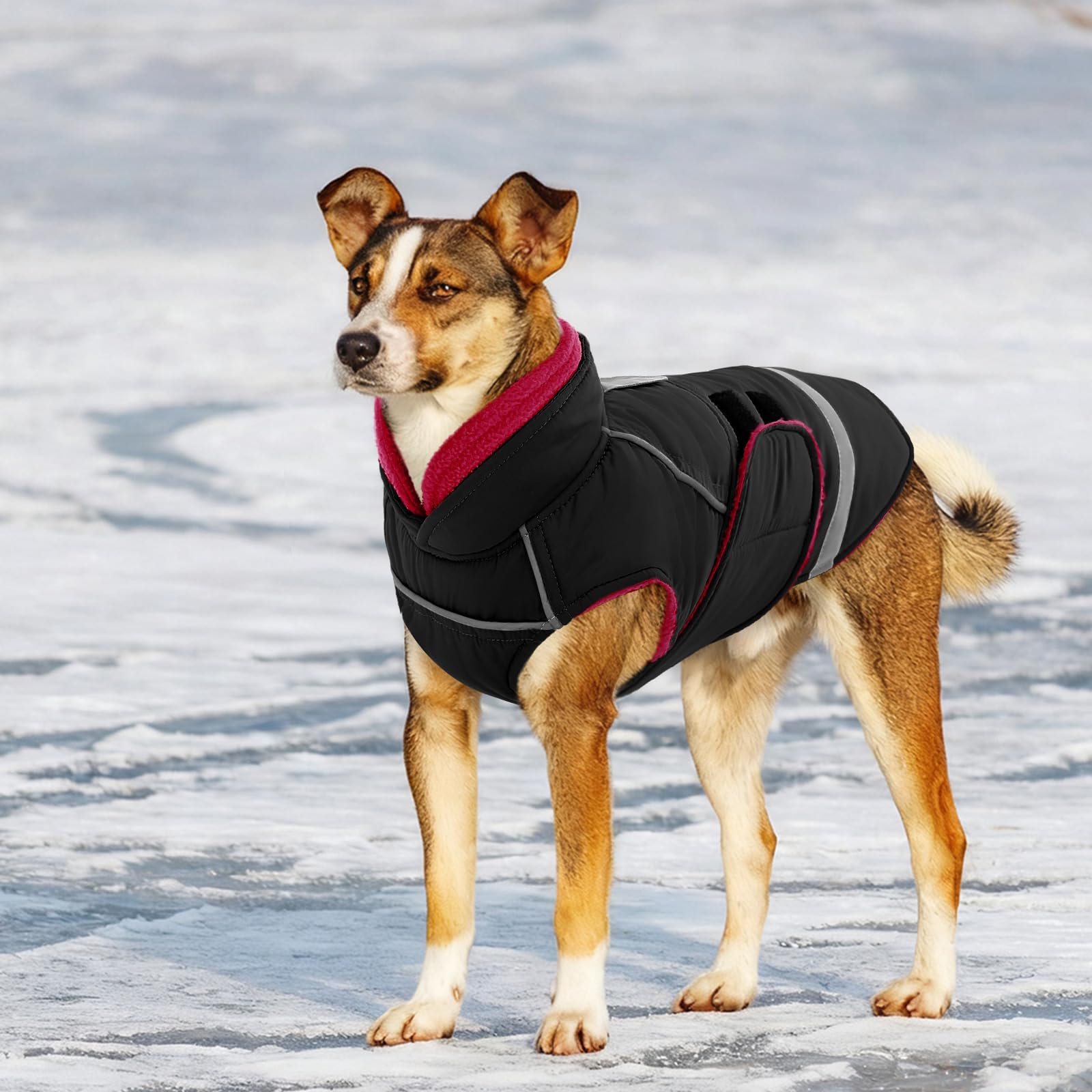 CITÉTOILE Manteau pour Chien Imperméable et Coupe-Vent - Veste Hiver Chaude Réfléchissante - Manteau Chien avec Col en Fausse Fourrure & Ouverture Harnais Noir M