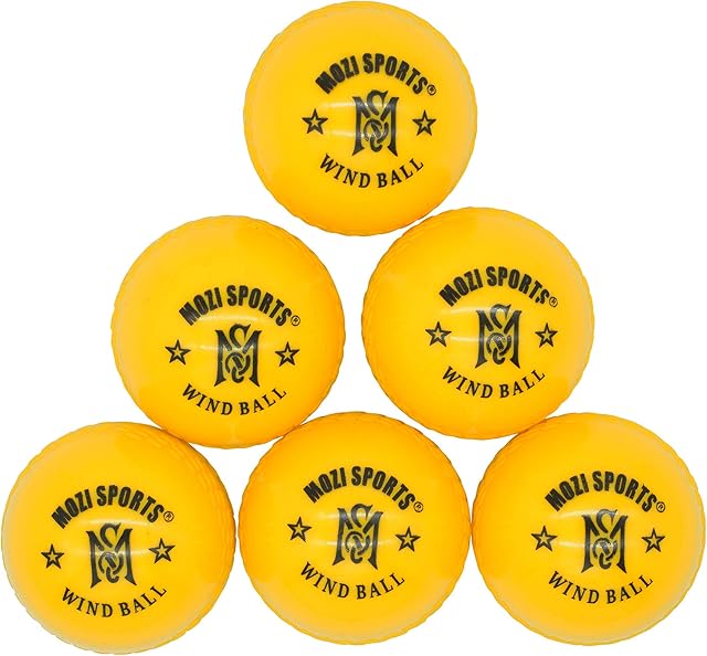 Wind Cricket Balls - Indoor & Outdoor Soft Training Cricket Ball for Coaching Practice