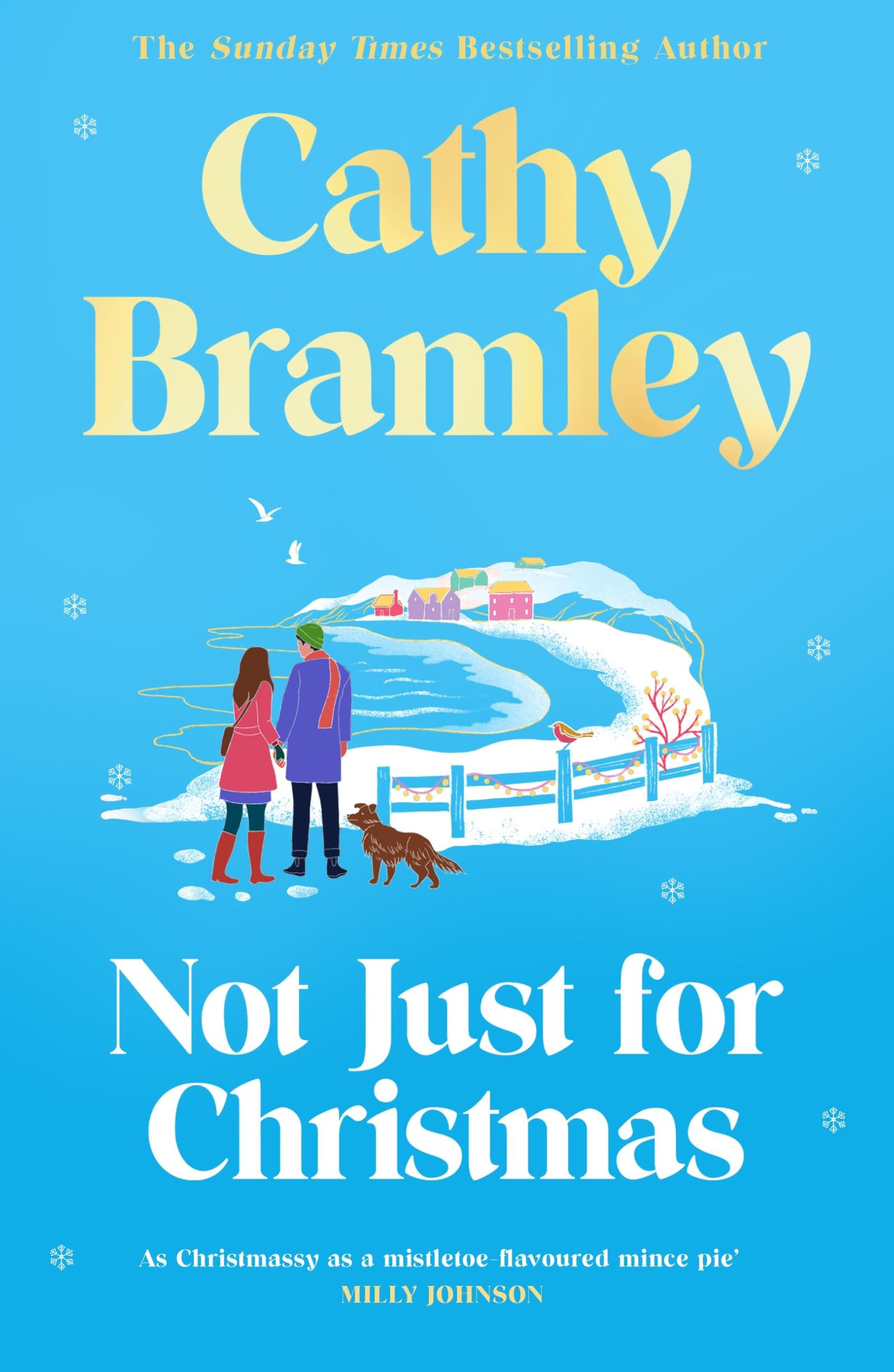 Not Just for Christmas: The must-read and utterly heartwarming festive romance coming this Christmas!