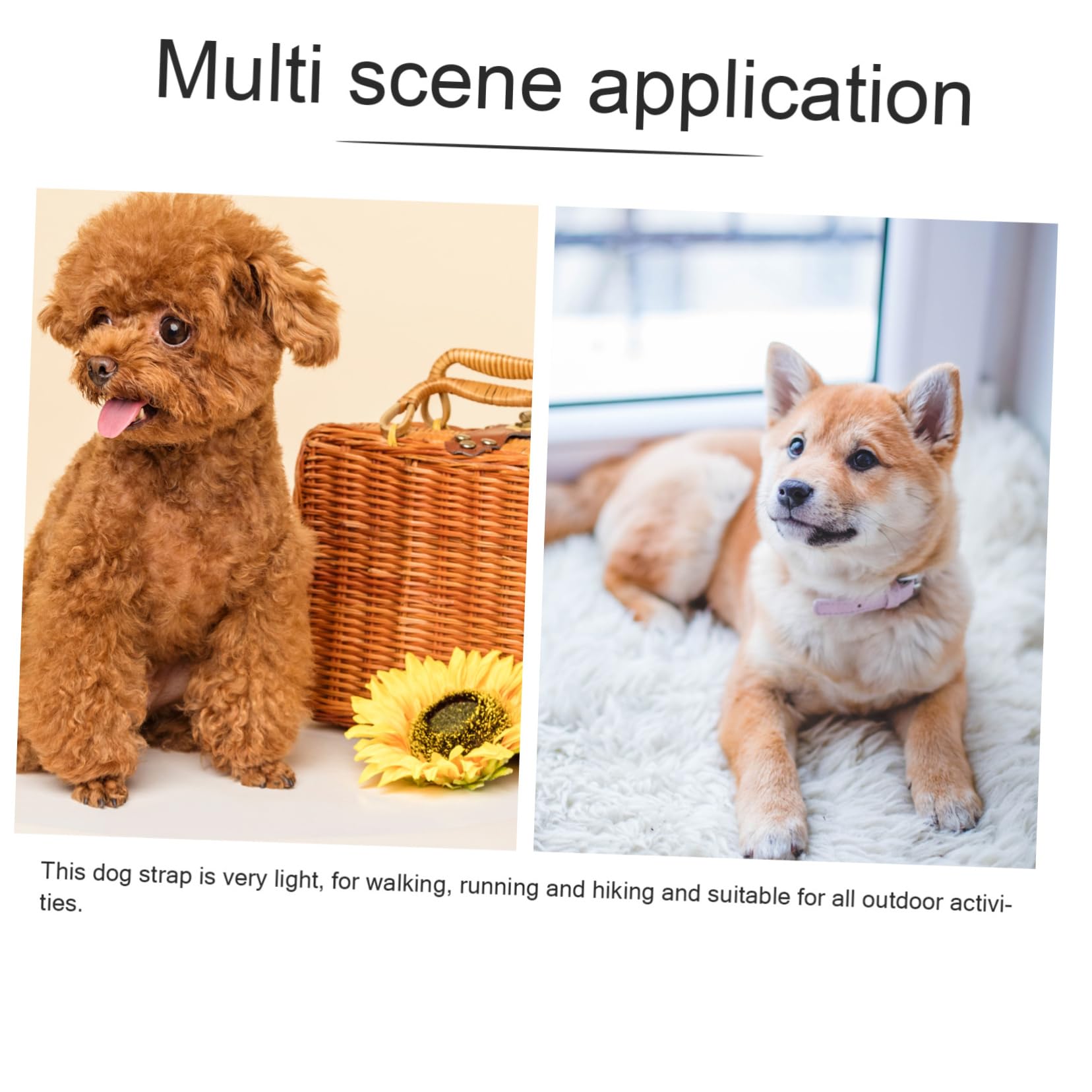 COLLBATH 3 STK Brustgurt hinten würfelunterlage einhelll Brustgeschirr hundezuggeschirr Hundegeschirr Hund mittel Katzensachen Hundeseil Dackel Haustierbedarf Haustier-Traktionsseil Rosa