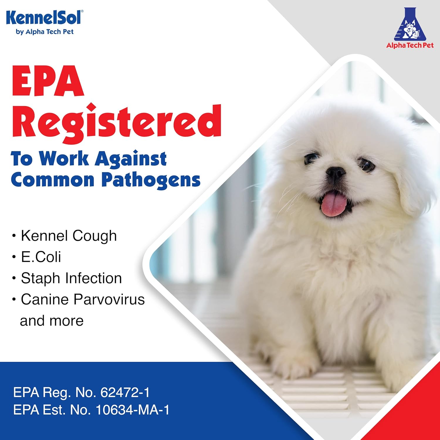 KennelSol Limpiador y desinfectante para cajas de perros, concentrado