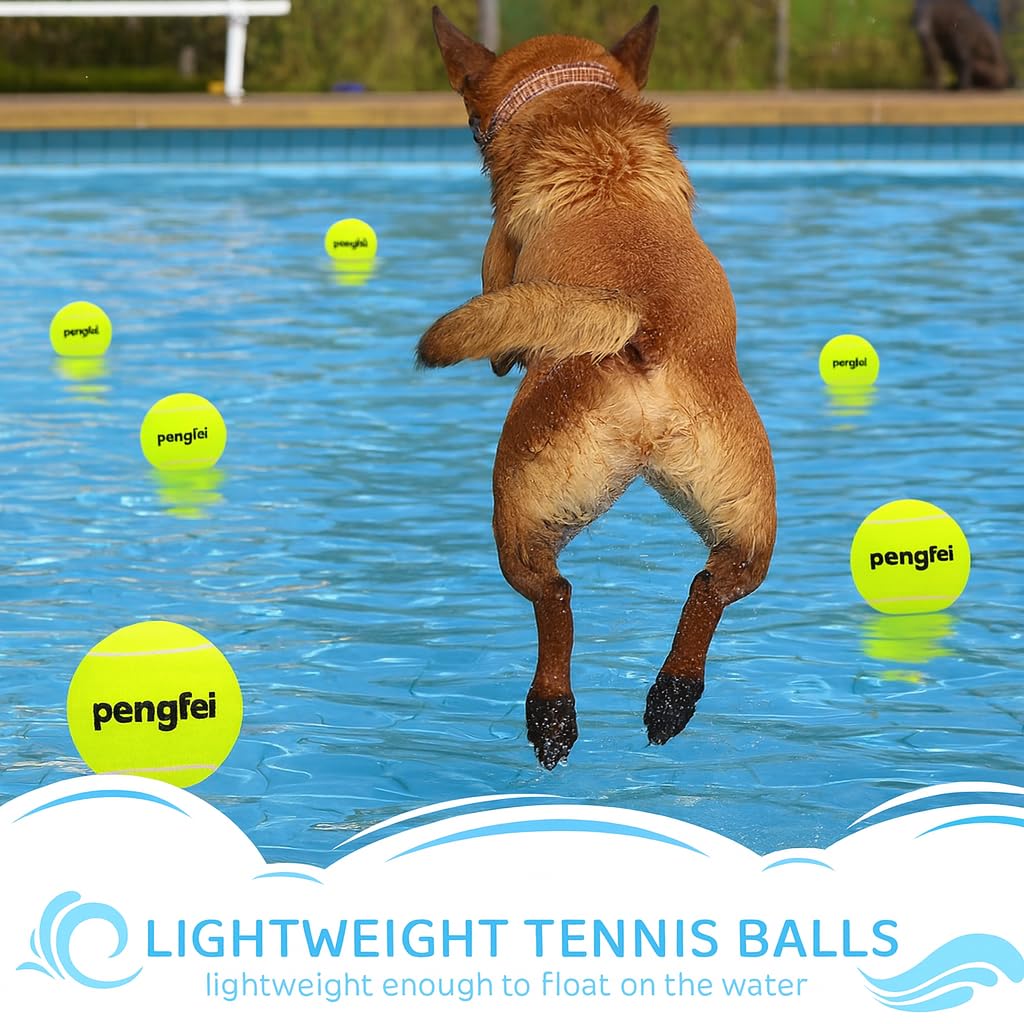 MADPET Köpek Oyuncağı Tenis Topu Büyük Boy – Dayanıklı Kauçuk İç Yapı, Diş Dostu Yumuşak Keçe Kaplama, Suya Dayanıklı, Hafif ve Esnek Yapı – Küçük ve Orta Irk Köpekler İçin Getir-Oyunu Topu