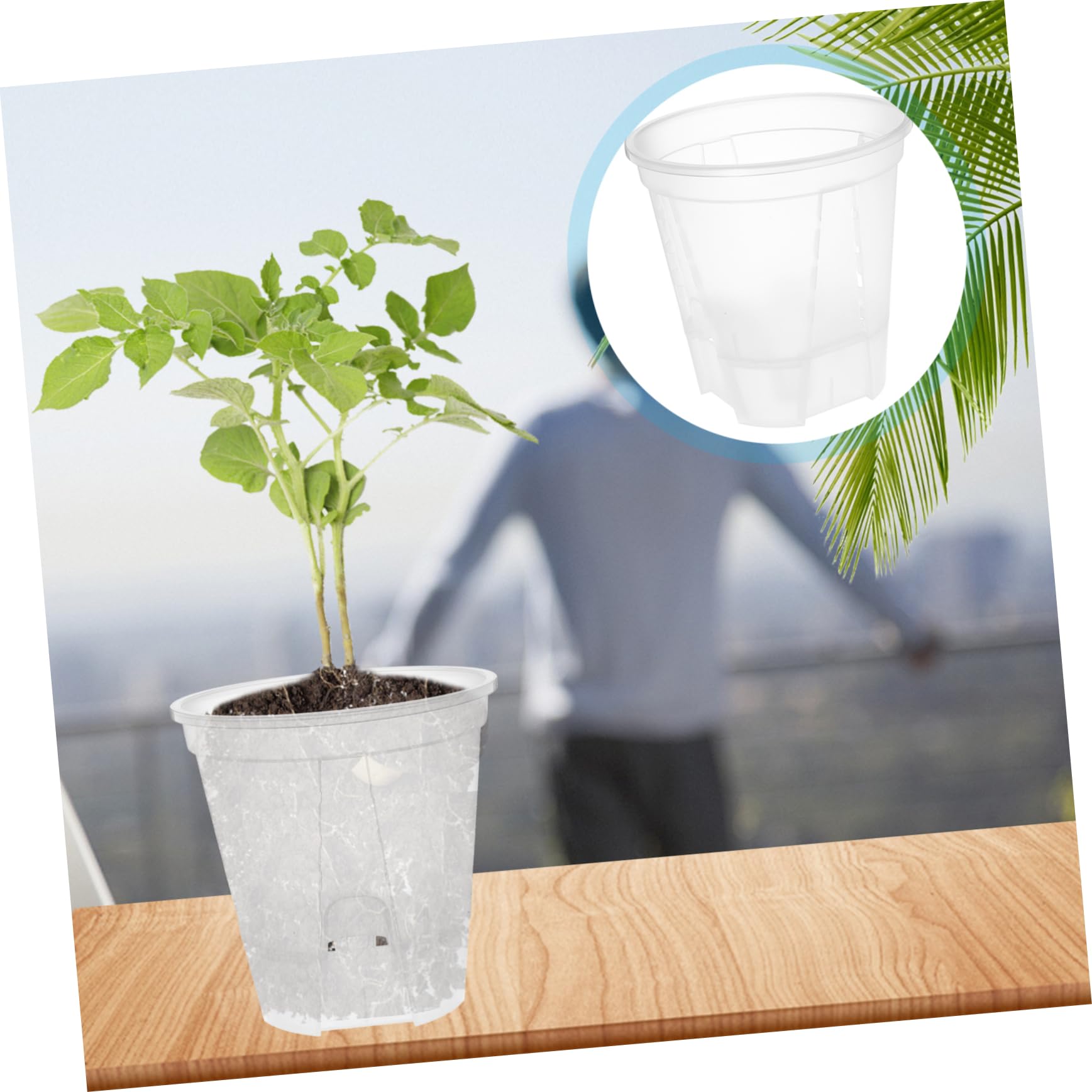 BESPORTBLE 6 Pièces Bassin De Montagne Vert Transparent Jardinières Auto-drainantes D'intérieur Pots De Pépinière Pot De Fleur Transparent Citrouille Pots De Fleurs avec Drainage Pot Clair PP