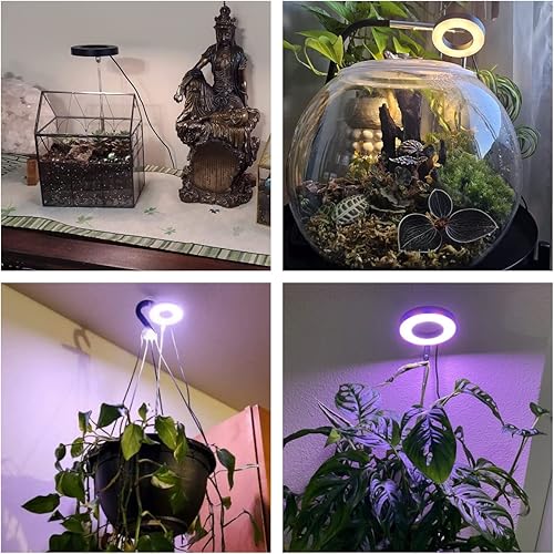 Miniatura 2 de Wiaxulay Luces de cultivo para plantas de interior, 48 luces LED de espectro completo para plantas de interior, luz de cultivo de plantas de altura