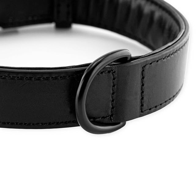Foto 3 de 8 de Brute Strength Collar Perro Negro, Costuras Negras XXL · 66–73 x 3,5 cm