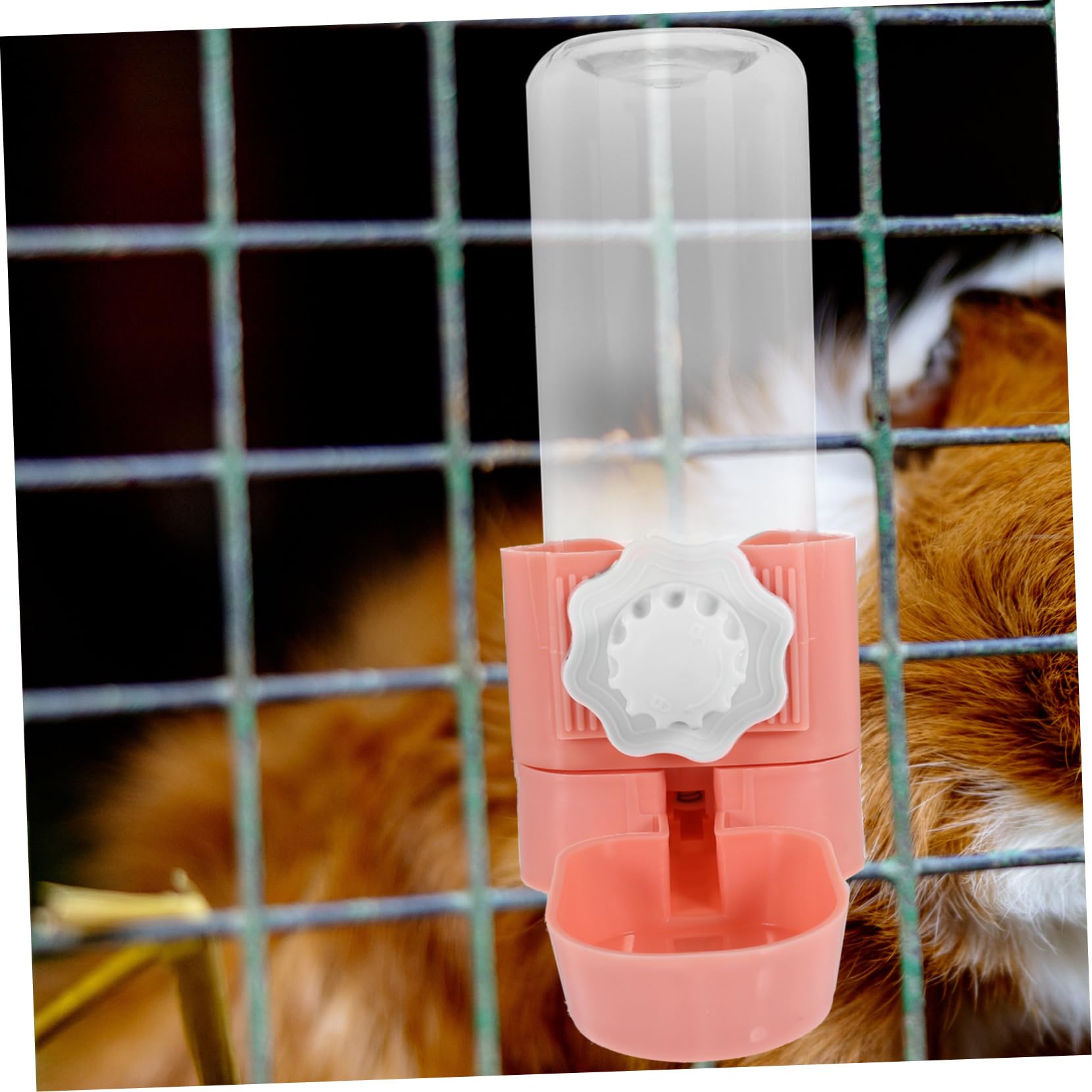 SUPVOX 3piezas Botella De Agua Colgante para Hamsters y Dispensador Automático De Agua para Accesorio De Práctico y Conveniente para Conejos y Chinchillas