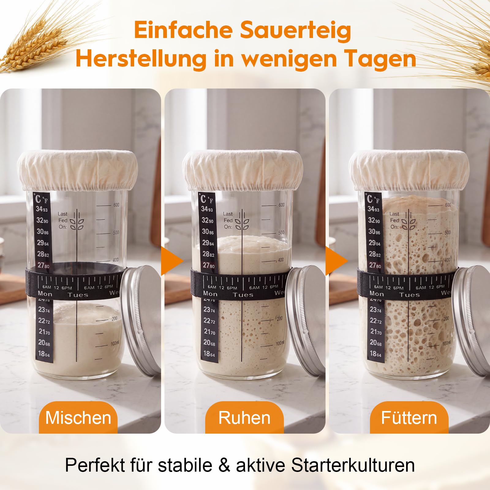 Kit lievito completo di 2 Bannetons in rattan (rando e ovale), barattoli a lievito graduato 600 ml, kit fabbricazione pane casa, accessori panetteria e pane lievitato per principianti e appassionati