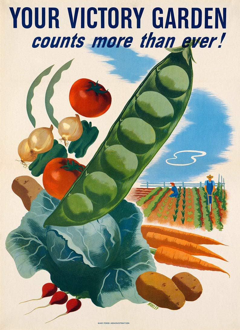 Bioprocess Victory Garden World War Poster Wartime Propaganda Vintage Style Print Art Wall Decor Metal Sign Poster 8X12 Inches