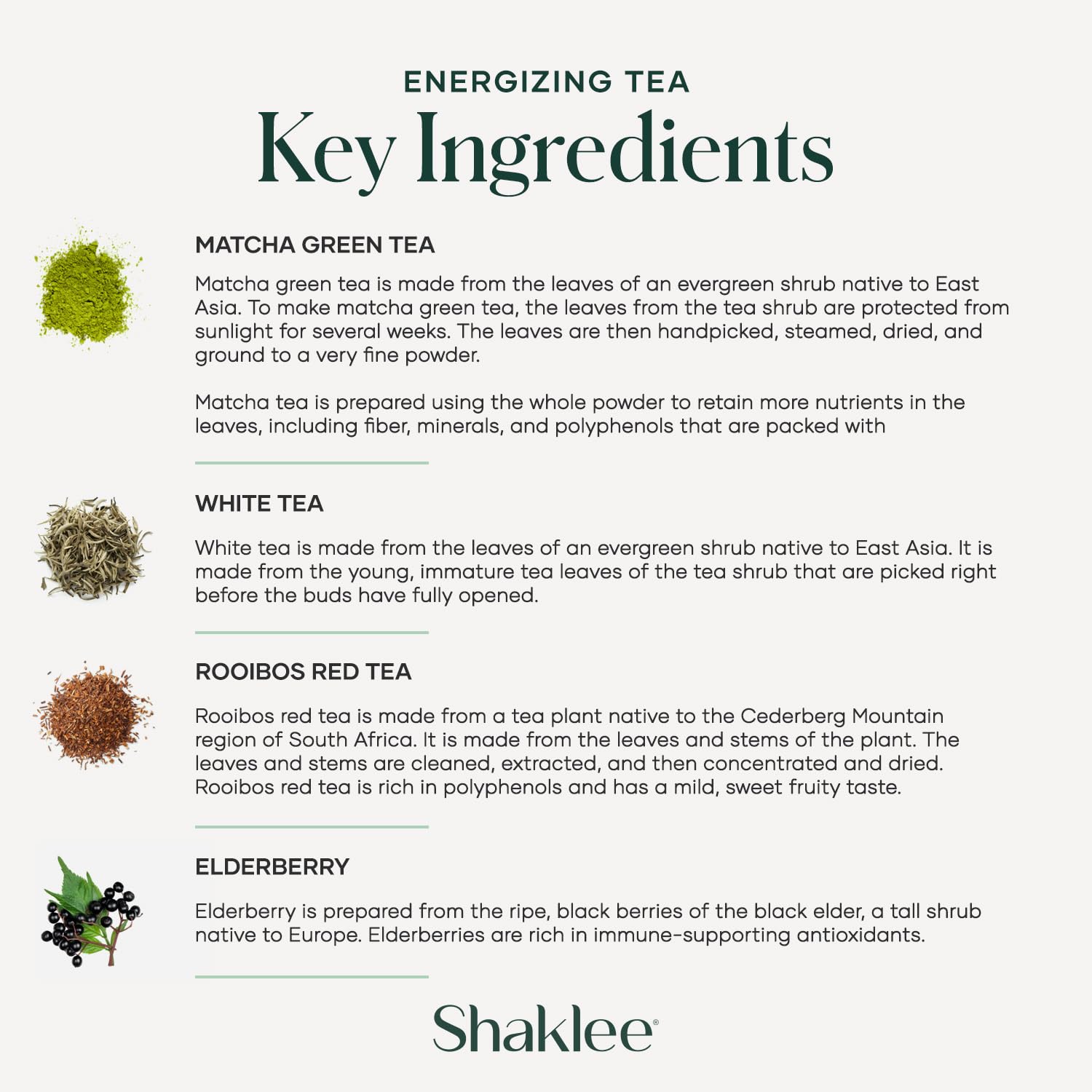 Shaklee Energizing Tea Green Matcha Flavor - Antioxidant-Rich Blend of Green Matcha White and Red Teas for Gentle — view 6