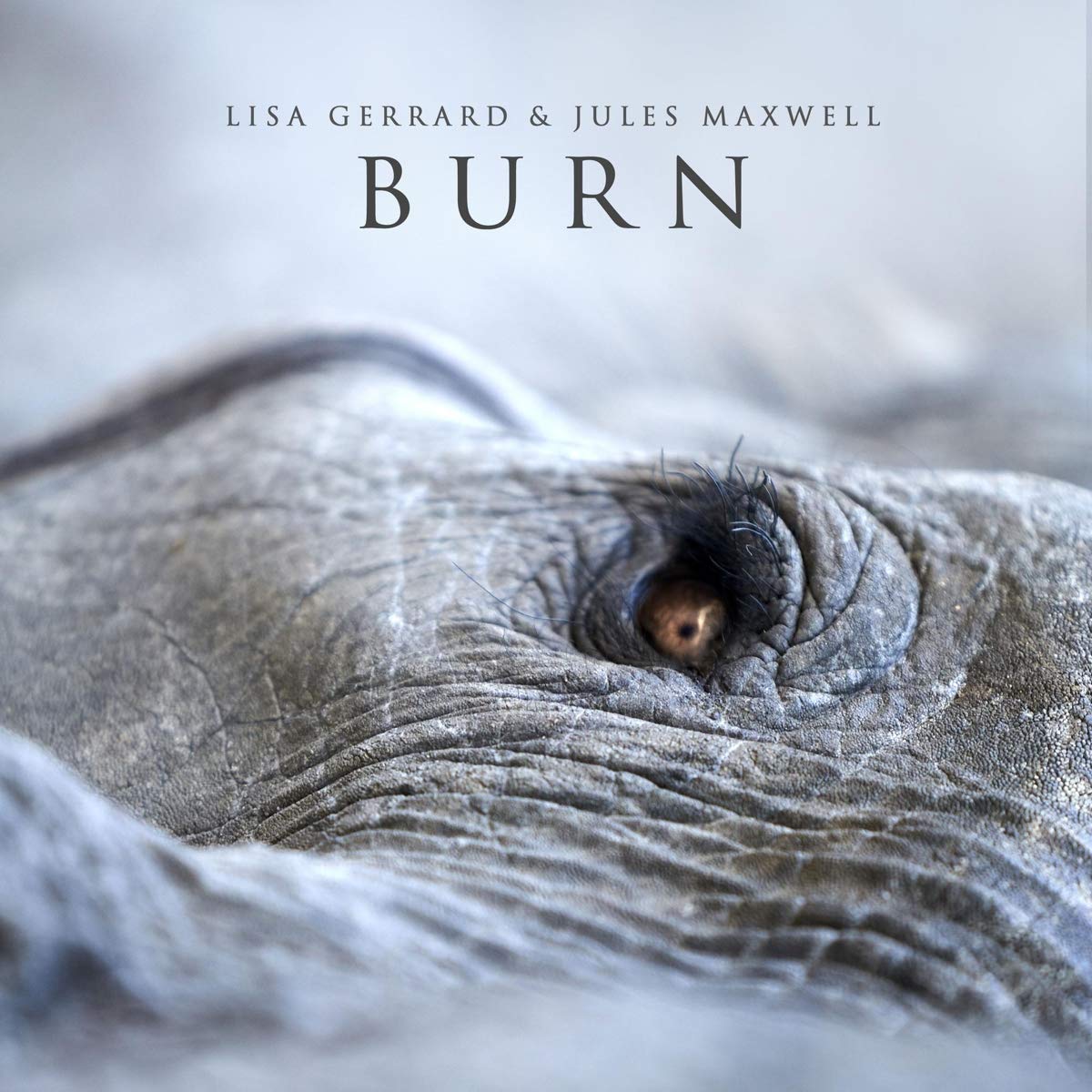 Burn [VINYL]