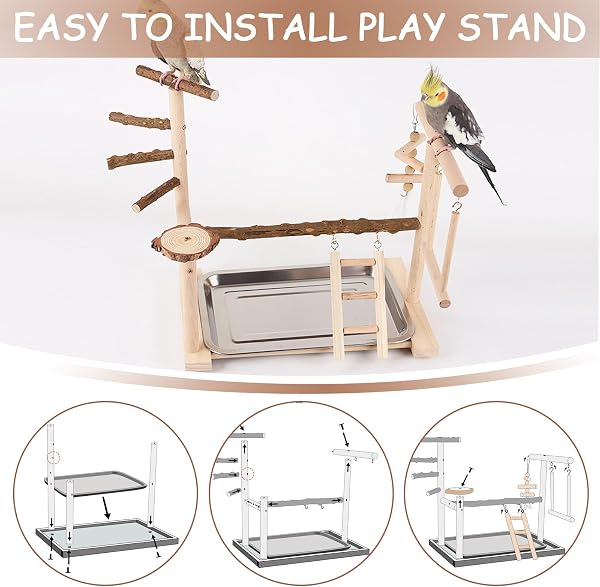 Vogel Spielständer – Holz papageienständer, Vogel Spielplatz mit Leiter, Schaukel, Feeder-Cup, Tablett und Kauspielzeug Haustier Übungsspiel Gym Ständer für Kleine bis Mittelgroße Vögel - 3