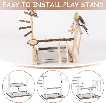 Bird Play Stand - Wooden Parrot Stand Bird Playground with Climbing Ladder, Swing, Training Stand Pole, Feeder Cup, Tray and Exercise Gym Toys for Small to Medium Birds