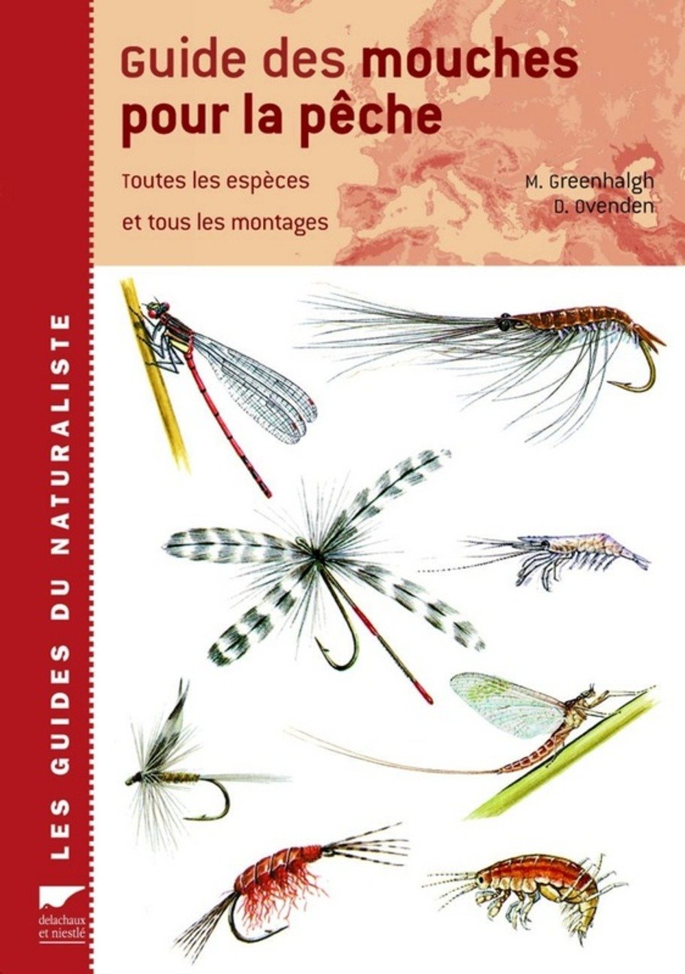 Où Pondent les Mouches Dans les Maisons ? (Et Comment Éliminer les Oeufs