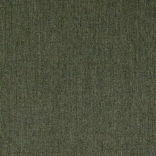 Sunbrella Cast 48092-0000 Sage, Fabric by the Yard