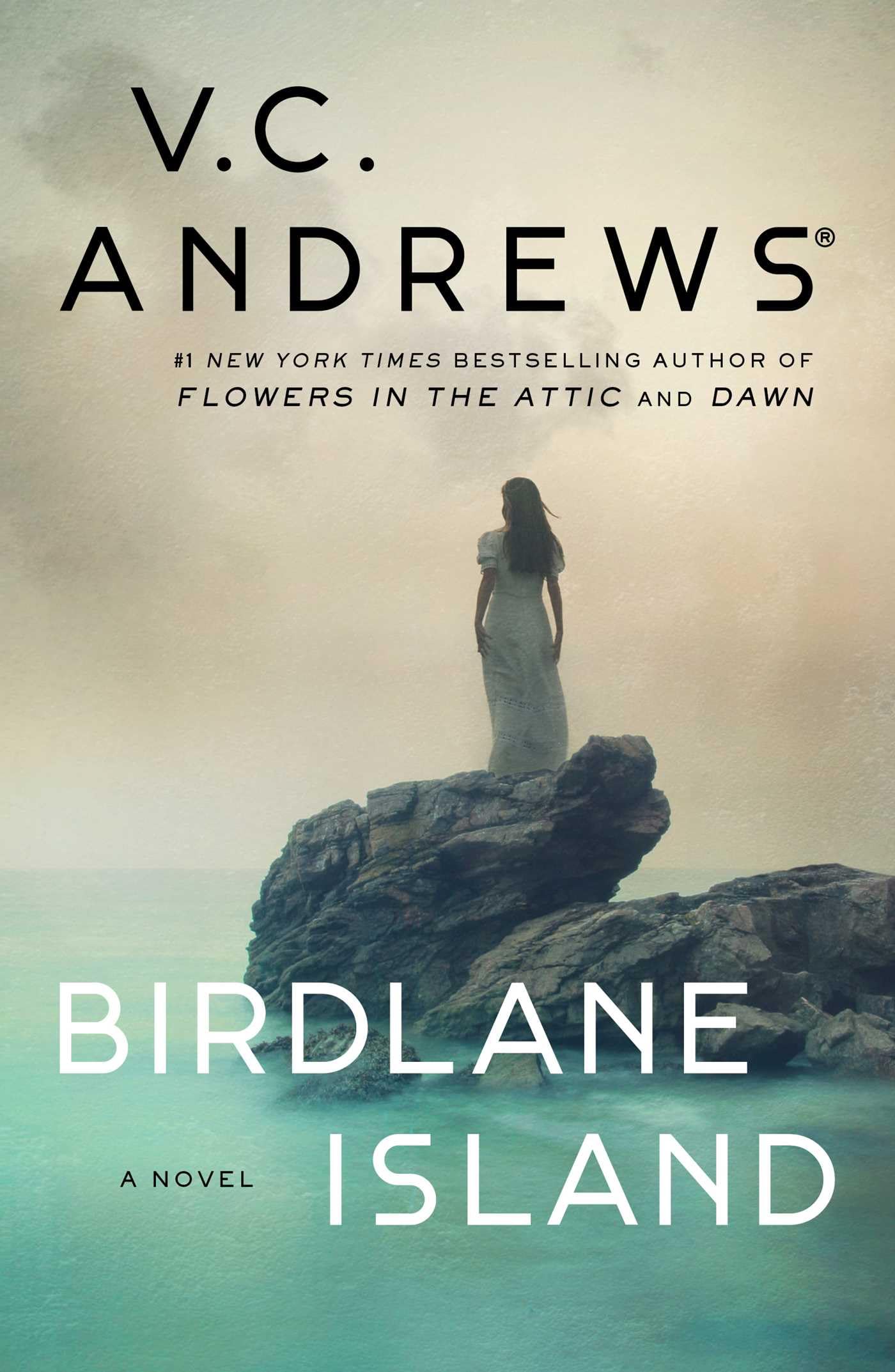 Birdlane Island.by Andrews, Andrews,  New 9781668015872 Fast Free Shipping**