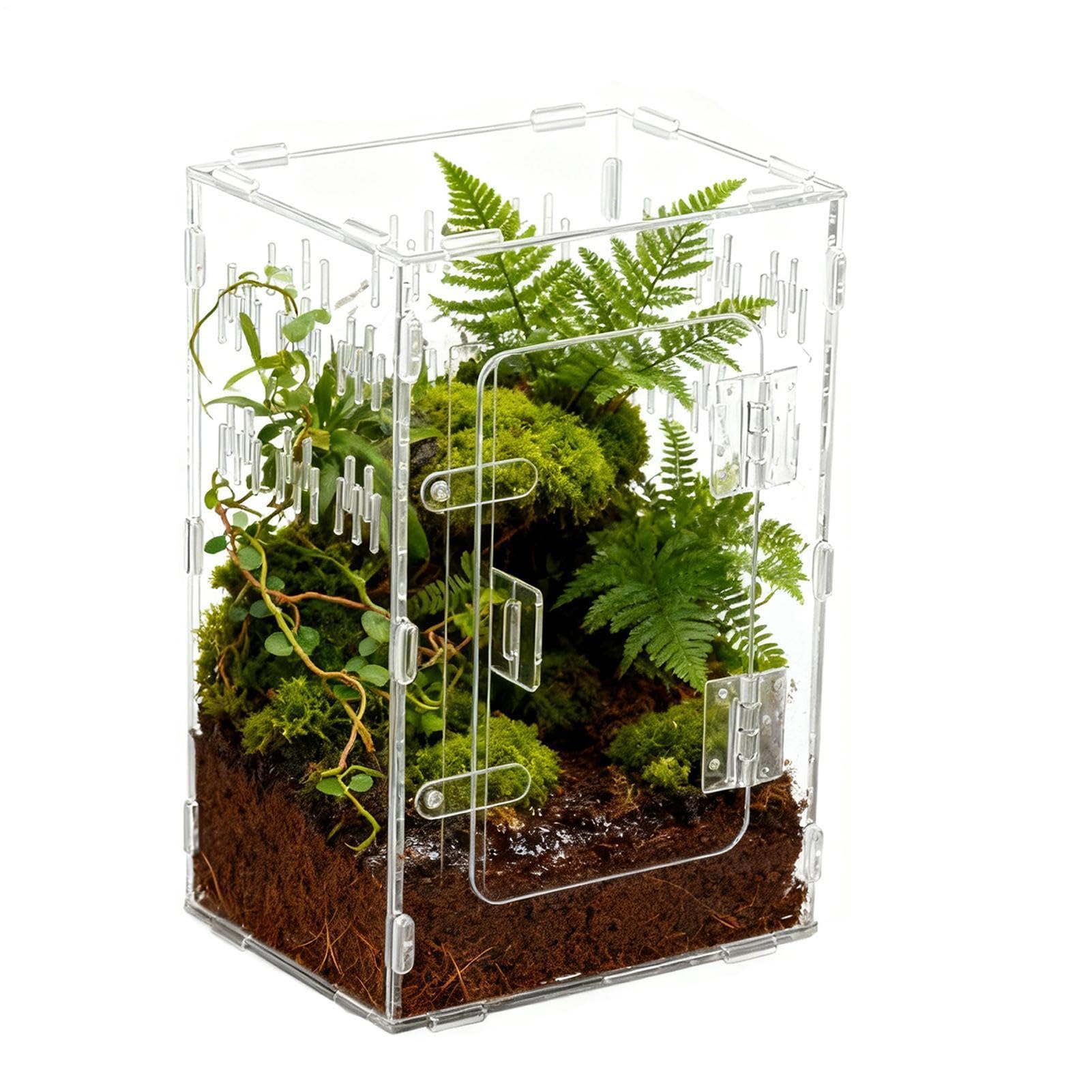 Arthropod Vivarium Chamber - Polymer Vertical Area, Transparent Stick Inséct Housing Shelter, Amphibian Cŗitter Container for Lizard Newt Tortoise, Stable Case Room Shelf | Animal Stand Corner