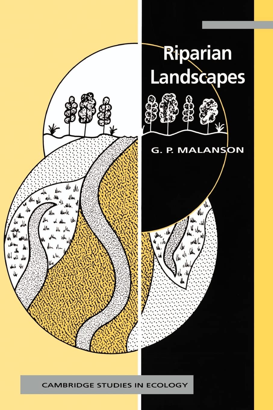 Riparian Landscapes (Cambridge Studies in Ecology)