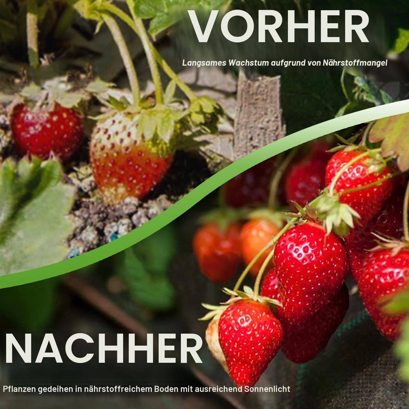 5m x 5m Unkrautvlies Gartenvlies für Garten Wasserdurchlässig Unkrautfolie gegen Unkraut 90g/m² Unkrautflies Reißfestes Unkrautgewebe Hohe UV-Stabilisierung (5m x 5m = 25m²)